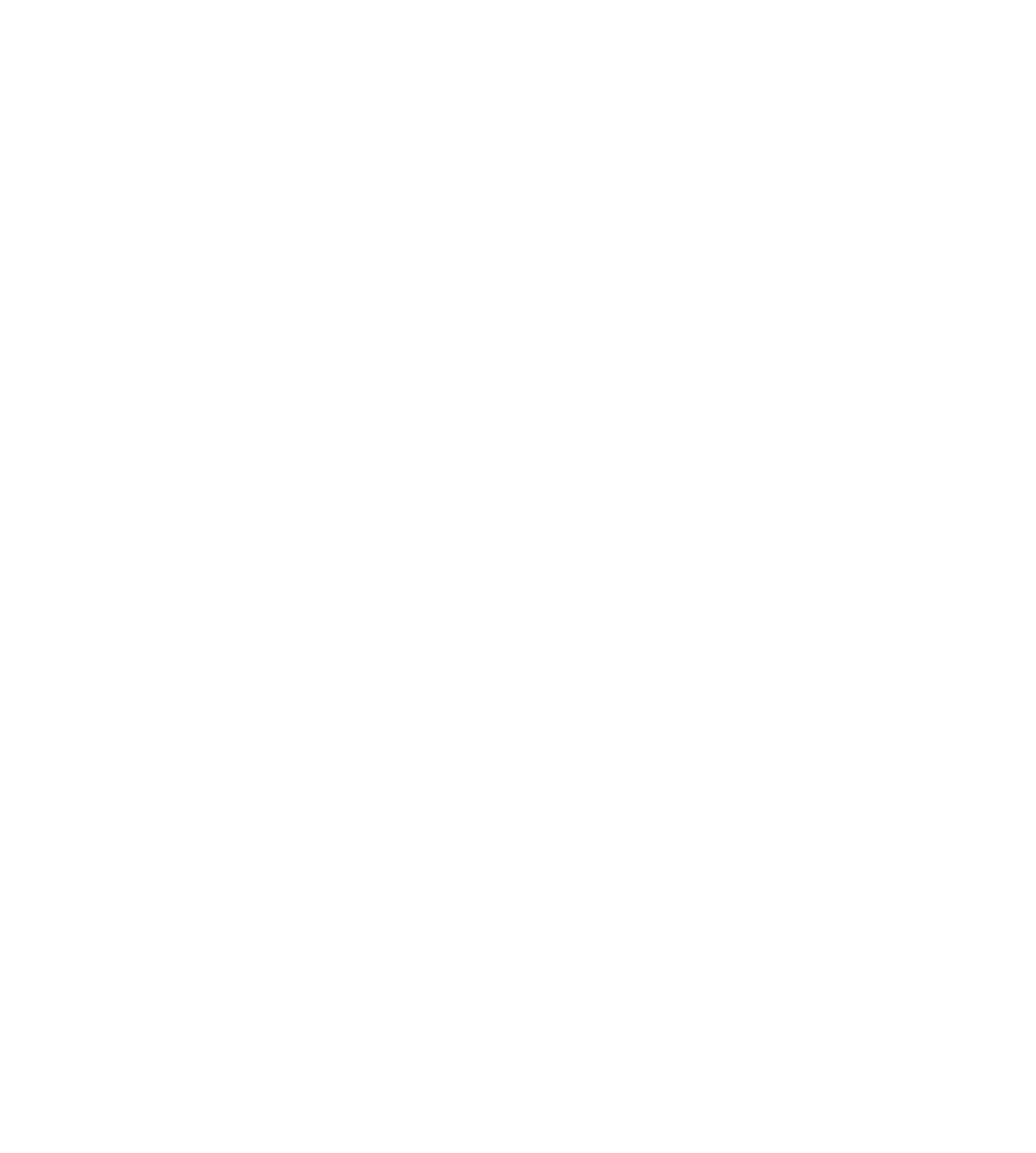 Brandon Magnus